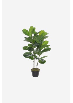 H & M - Ficus Artificial Plant - Zielony ze sklepu H&M w kategorii Dekoracje - zdjęcie 170667287