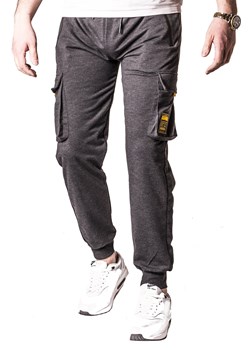 Spodnie dresowe 6059 szare ze sklepu Risardi w kategorii Spodnie męskie - zdjęcie 170874826
