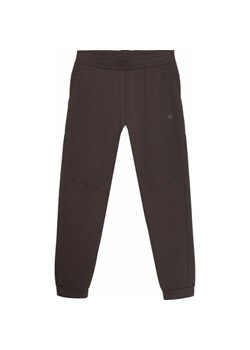 Spodnie męskie 4FWSS24TTROM648 4F ze sklepu SPORT-SHOP.pl w kategorii Spodnie męskie - zdjęcie 170899546