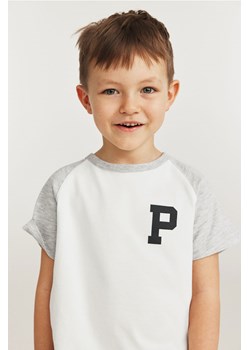H & M - T-shirt z reglanowym rękawem i motywem - Szary ze sklepu H&M w kategorii T-shirty chłopięce - zdjęcie 171174999