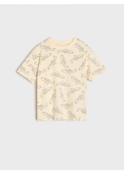 Sinsay - Koszulka - kremowy ze sklepu Sinsay w kategorii T-shirty chłopięce - zdjęcie 171216625
