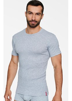 Szary t-shirt męski 1495-J27, Kolor szary, Rozmiar S, Henderson ze sklepu Intymna w kategorii T-shirty męskie - zdjęcie 171351488