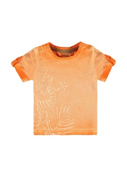 Chłopięca niemowlęca bluzka z krótkim rękawem pomarańczowa ze sklepu 5.10.15 w kategorii Koszulki niemowlęce - zdjęcie 171537017