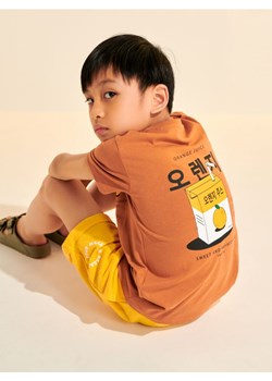 Sinsay - Koszulka - brązowy ze sklepu Sinsay w kategorii T-shirty chłopięce - zdjęcie 171693456