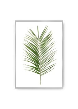Plakat Palm Leaf Green ze sklepu dekoria.pl w kategorii Obrazy - zdjęcie 171730336