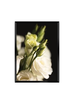 Plakat Dark Flowers I ze sklepu dekoria.pl w kategorii Obrazy - zdjęcie 171738186