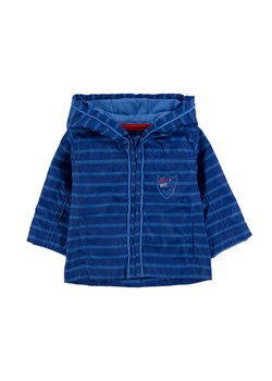 Chłopięca kurtka niebieska ze sklepu 5.10.15 w kategorii Kombinezony i kurtki - zdjęcie 171932975