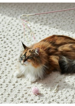 Sinsay - Wędka dla kota - różowy ze sklepu Sinsay w kategorii Dla zwierząt - zdjęcie 171995357