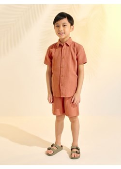 Sinsay - Komplet: koszula i szorty - beżowy ze sklepu Sinsay w kategorii Komplety chłopięce - zdjęcie 171995385