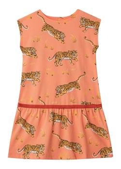 THE STRIPED CAT Sukienka w kolorze pomarańczowo-jasnobrązowym ze sklepu Limango Polska w kategorii Sukienki dziewczęce - zdjęcie 172019399