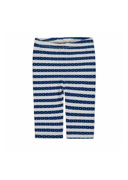 Dziewczęce legginsy szare w niebieskie paski ze sklepu 5.10.15 w kategorii Legginsy niemowlęce - zdjęcie 172084258