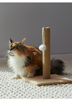 Sinsay - Drapak dla kota - kremowy ze sklepu Sinsay w kategorii Dla zwierząt - zdjęcie 172114389