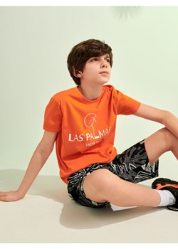 Sinsay - Koszulka - pomarańczowy ze sklepu Sinsay w kategorii T-shirty chłopięce - zdjęcie 172142086
