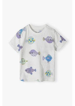 Bawełniana bluzka niemowlęca w rybki - 5.10.15. ze sklepu 5.10.15 w kategorii Odzież dla niemowląt - zdjęcie 172272719