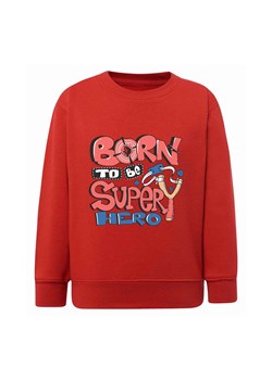 Chłopięca bluza z napisem Born to be superhero czerwona ze sklepu 5.10.15 w kategorii Bluzy chłopięce - zdjęcie 172338646
