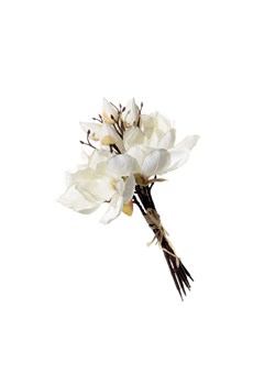 Bukiet Magnolii cream wys. 32cm ze sklepu dekoria.pl w kategorii Dekoracje - zdjęcie 172376528