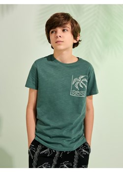 Sinsay - Koszulka z nadrukiem - zielony ze sklepu Sinsay w kategorii T-shirty chłopięce - zdjęcie 172385786