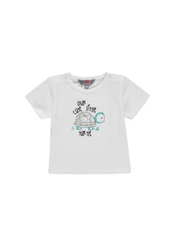T-shirt niemowlęcy biały żółw ze sklepu 5.10.15 w kategorii Koszulki niemowlęce - zdjęcie 172402929