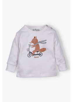 Bluzka niemowlęca CUTE CARS z bawełny organicznej ze sklepu 5.10.15 w kategorii Odzież dla niemowląt - zdjęcie 172409558