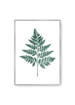 Plakat Fern Emerald Green ze sklepu dekoria.pl w kategorii Obrazy - zdjęcie 172474147