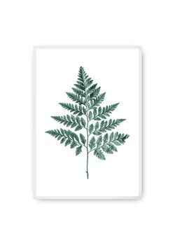 Plakat Fern Emerald Green ze sklepu dekoria.pl w kategorii Obrazy - zdjęcie 172474158