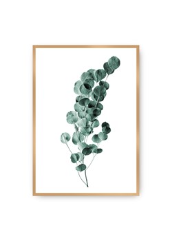 Plakat Eucalyptus Emerald Green ze sklepu dekoria.pl w kategorii Obrazy - zdjęcie 172474179