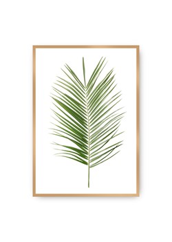 Plakat Palm Leaf Green ze sklepu dekoria.pl w kategorii Obrazy - zdjęcie 172474199
