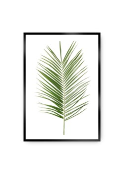Plakat Palm Leaf Green ze sklepu dekoria.pl w kategorii Obrazy - zdjęcie 172474205