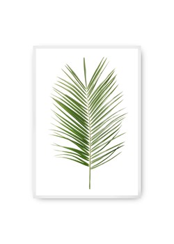 Plakat Palm Leaf Green ze sklepu dekoria.pl w kategorii Obrazy - zdjęcie 172474206