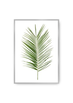 Plakat Palm Leaf Green ze sklepu dekoria.pl w kategorii Obrazy - zdjęcie 172474207