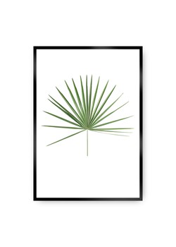 Plakat Tropical Leaf Green ze sklepu dekoria.pl w kategorii Obrazy - zdjęcie 172474268