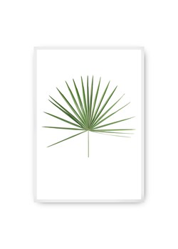 Plakat Tropical Leaf Green ze sklepu dekoria.pl w kategorii Obrazy - zdjęcie 172474277