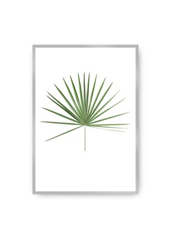 Plakat Tropical Leaf Green ze sklepu dekoria.pl w kategorii Obrazy - zdjęcie 172474279