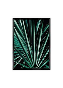 Plakat Dark Palm Tree ze sklepu dekoria.pl w kategorii Obrazy - zdjęcie 172476706