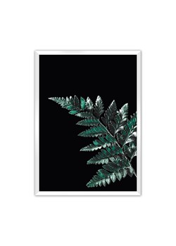 Plakat Dark Fern Leaf ze sklepu dekoria.pl w kategorii Obrazy - zdjęcie 172476735