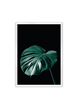 Plakat Dark Monstera ze sklepu dekoria.pl w kategorii Obrazy - zdjęcie 172476778