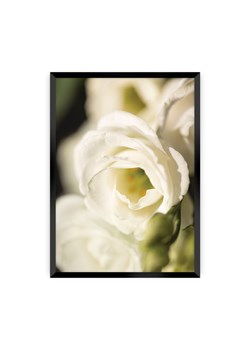 Plakat Flower Wall ze sklepu dekoria.pl w kategorii Obrazy - zdjęcie 172476797