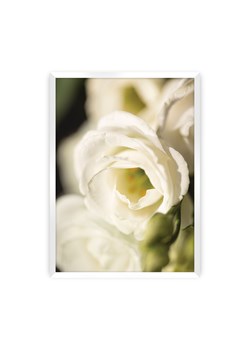 Plakat Flower Wall ze sklepu dekoria.pl w kategorii Obrazy - zdjęcie 172476798