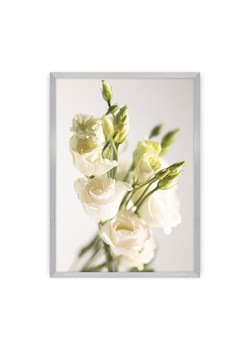 Plakat Elegant Flowers ze sklepu dekoria.pl w kategorii Obrazy - zdjęcie 172476816