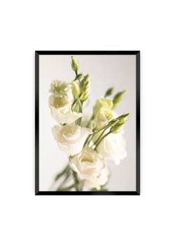 Plakat Elegant Flowers ze sklepu dekoria.pl w kategorii Obrazy - zdjęcie 172476817