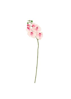 Gałązka Orchid 65cm light pink ze sklepu dekoria.pl w kategorii Dekoracje - zdjęcie 172482357