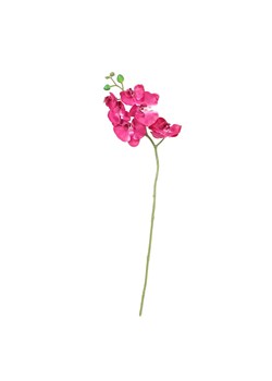 Gałązka Orchid 65cm pink ze sklepu dekoria.pl w kategorii Dekoracje - zdjęcie 172482359