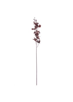 Orchidea 100cm dark plum ze sklepu dekoria.pl w kategorii Dekoracje - zdjęcie 172486437