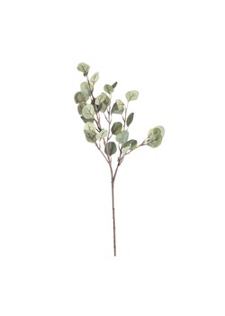Gałązka Eukaliptusa 68cm ze sklepu dekoria.pl w kategorii Dekoracje - zdjęcie 172487018
