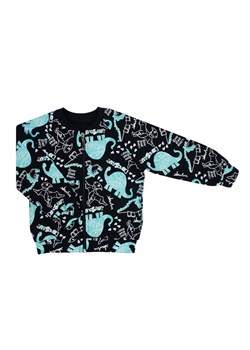 Dresowa bluza niemowlęca o kroju boomerki- dinozaury ze sklepu 5.10.15 w kategorii Bluzy i swetry - zdjęcie 172601397
