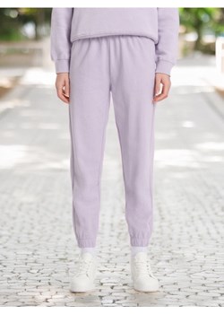 Sinsay - Spodnie dresowe - fioletowy ze sklepu Sinsay w kategorii Spodnie damskie - zdjęcie 172609538