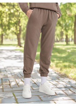 Sinsay - Spodnie dresowe - brązowy ze sklepu Sinsay w kategorii Spodnie damskie - zdjęcie 172609539
