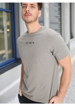 Sinsay - Koszulka - szary ze sklepu Sinsay w kategorii T-shirty męskie - zdjęcie 172621179