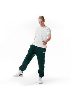 Męskie spodnie dresowe Prosto Digo - zielone ze sklepu Sportstylestory.com w kategorii Spodnie męskie - zdjęcie 172636128