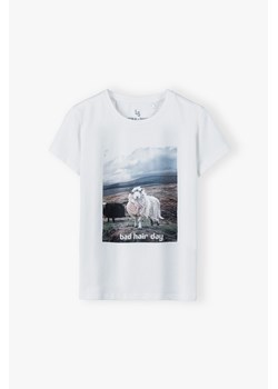 Bawełniany t-shirt dziewczęcy ze sklepu 5.10.15 w kategorii Bluzki dziewczęce - zdjęcie 172645208